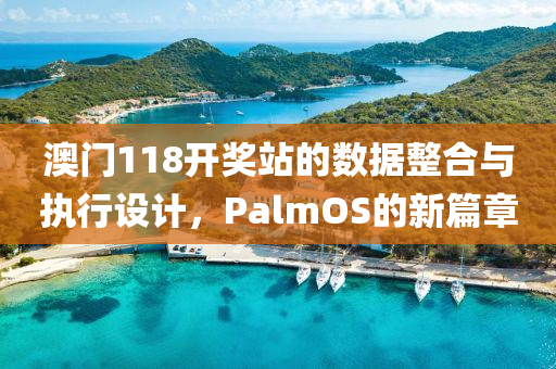 澳门118开奖站的数据整合与执行设计，PalmOS的新篇章